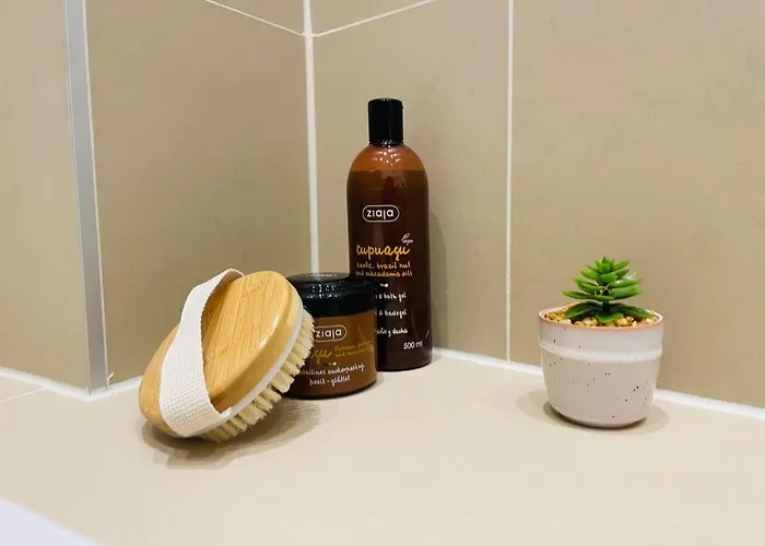 Apstay Premium I Parking Option I Self Check-in Graz